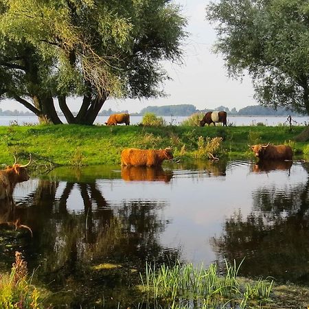 Bed and Breakfast Het Zwanennest Den Ilp Exterior foto